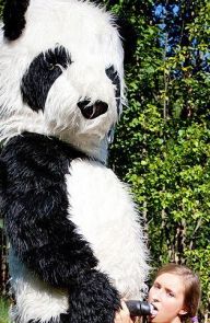 Kate Shira Panda sex toy
